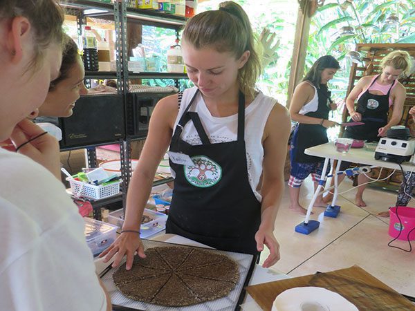 Raw Vegan Chef Training Bali – Seeds of Life – Raw Food Classes Ubud