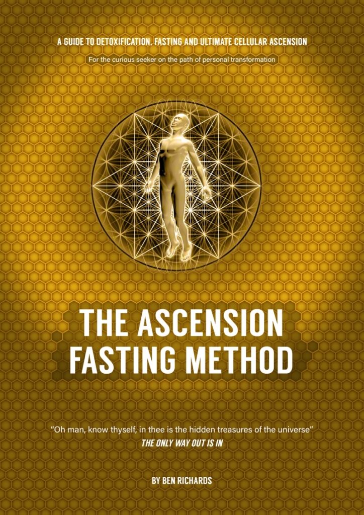 Raw Vegan Chef Training Bali – Seeds of Life – Raw Food Classes Ubud